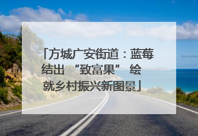 方城广安街道：蓝莓结出 “致富果” 绘就乡村振兴新图景
