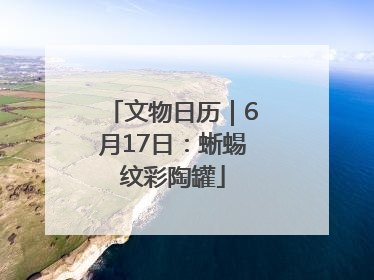 文物日历｜6月17日：蜥蜴纹彩陶罐