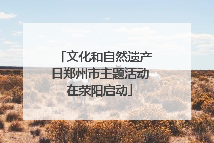 文化和自然遗产日郑州市主题活动在荥阳启动