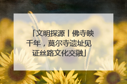 文明探源丨佛寺映千年，莫尔寺遗址见证丝路文化交融