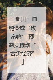 新田：血鸭变成“致富鸭” 预制菜撬动“舌尖经济”