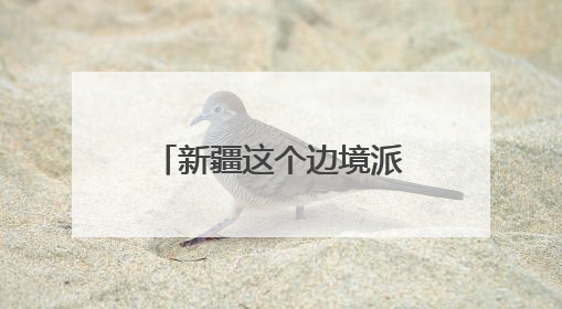 新疆这个边境派出所上了国新办中外记者见面会
