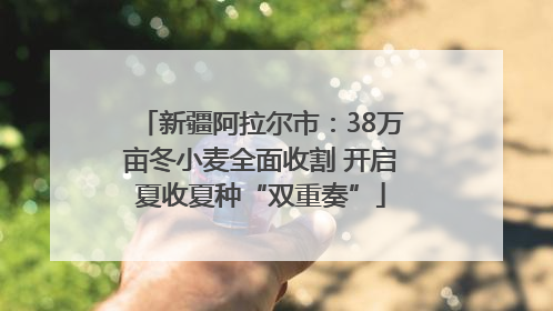 新疆阿拉尔市：38万亩冬小麦全面收割 开启夏收夏种“双重奏”