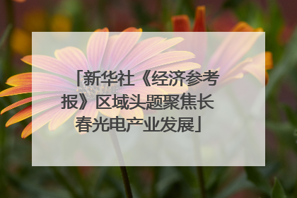 新华社《经济参考报》区域头题聚焦长春光电产业发展