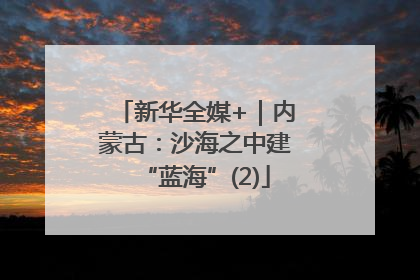 新华全媒+｜内蒙古：沙海之中建“蓝海”(2)