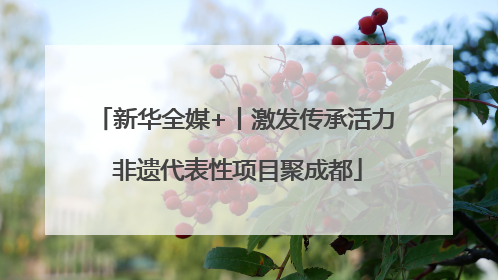 新华全媒+丨激发传承活力 非遗代表性项目聚成都