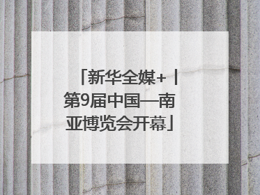 新华全媒+丨第9届中国—南亚博览会开幕