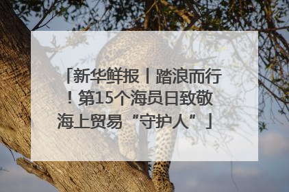 新华鲜报丨踏浪而行！第15个海员日致敬海上贸易“守护人”