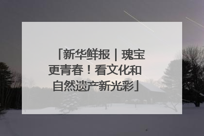 新华鲜报｜瑰宝更青春！看文化和自然遗产新光彩