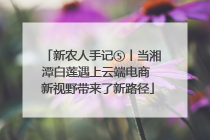 新农人手记⑤丨当湘潭白莲遇上云端电商 新视野带来了新路径