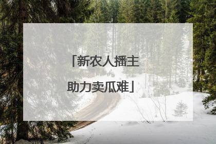 新农人播主 助力卖瓜难
