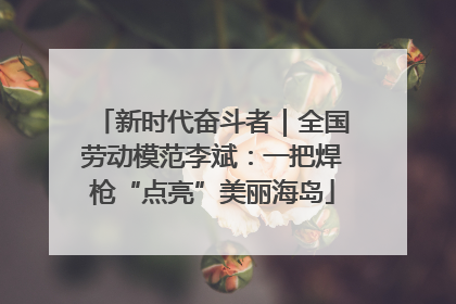 新时代奋斗者｜全国劳动模范李斌：一把焊枪“点亮”美丽海岛