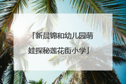 新晨锦和幼儿园萌娃探秘莲花街小学