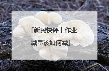 新民快评丨作业减量该如何减