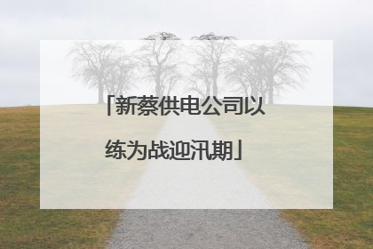 新蔡供电公司以练为战迎汛期