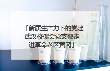 新质生产力下的党建 武汉校促会党支部走进革命老区黄冈
