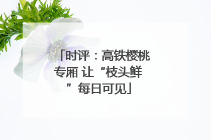 时评：高铁樱桃专厢 让“枝头鲜”每日可见