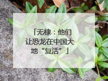 无棣：他们 让恐龙在中国大地“复活”