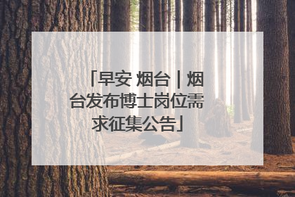 早安 烟台｜烟台发布博士岗位需求征集公告