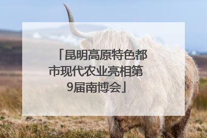 昆明高原特色都市现代农业亮相第9届南博会