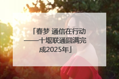 春梦 通信在行动——十堰联通圆满完成2025年