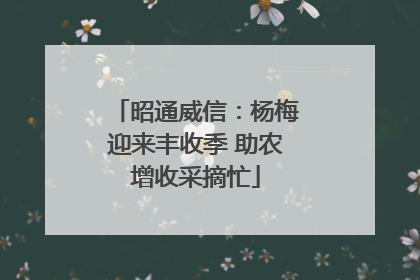 昭通威信：杨梅迎来丰收季 助农增收采摘忙