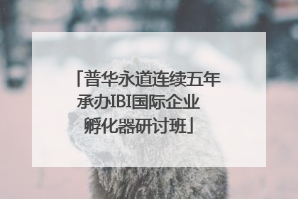 普华永道连续五年承办IBI国际企业孵化器研讨班