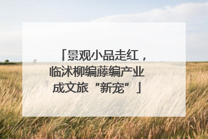 景观小品走红，临沭柳编藤编产业成文旅“新宠”