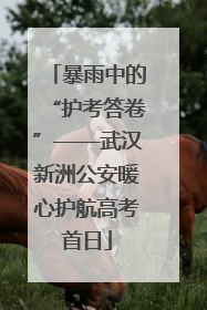 暴雨中的“护考答卷”——武汉新洲公安暖心护航高考首日