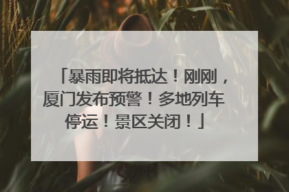 暴雨即将抵达！刚刚，厦门发布预警！多地列车停运！景区关闭！