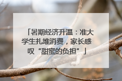 暑期经济升温：准大学生扎堆消费，家长感叹“甜蜜的负担”