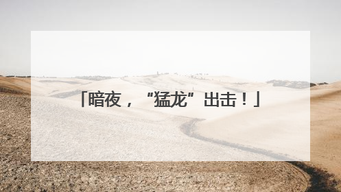 暗夜，“猛龙”出击！