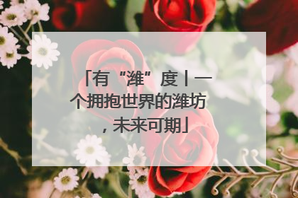 有“潍”度丨一个拥抱世界的潍坊，未来可期