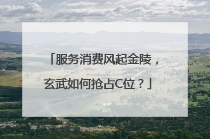 服务消费风起金陵，玄武如何抢占C位？