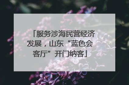 服务涉海民营经济发展，山东“蓝色会客厅”开门纳客