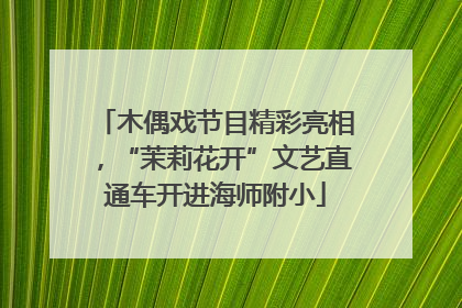 木偶戏节目精彩亮相，“茉莉花开”文艺直通车开进海师附小