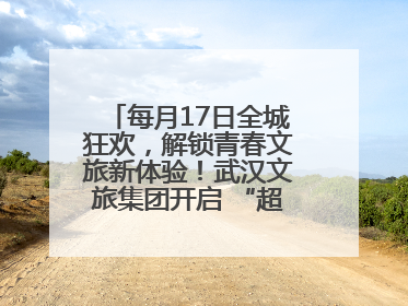每月17日全城狂欢，解锁青春文旅新体验！武汉文旅集团开启 “超级文旅日”