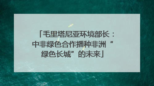 毛里塔尼亚环境部长：中非绿色合作播种非洲“绿色长城”的未来
