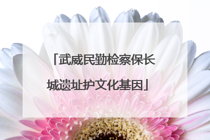 武威民勤检察保长城遗址护文化基因