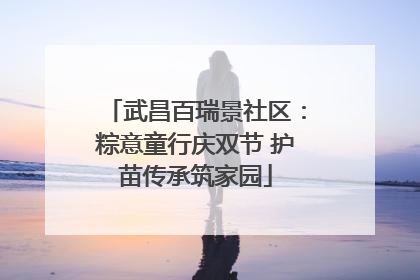 武昌百瑞景社区：粽意童行庆双节 护苗传承筑家园