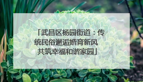 武昌区杨园街道：传统民俗邂逅婚育新风 共筑幸福和谐家园