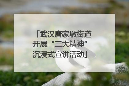 武汉唐家墩街道开展“三大精神”沉浸式宣讲活动
