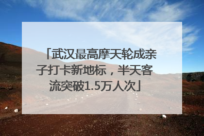 武汉最高摩天轮成亲子打卡新地标，半天客流突破1.5万人次