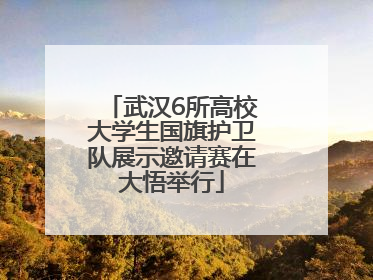 武汉6所高校大学生国旗护卫队展示邀请赛在大悟举行