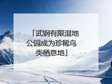 武钢有限湿地公园成为珍稀鸟类栖息地