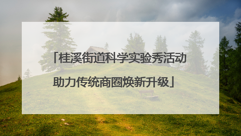 桂溪街道科学实验秀活动助力传统商圈焕新升级