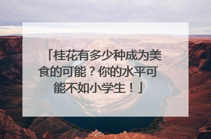 桂花有多少种成为美食的可能？你的水平可能不如小学生！