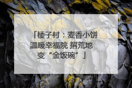 楼子村：麦香小饼温暖幸福院 撂荒地变“金饭碗”