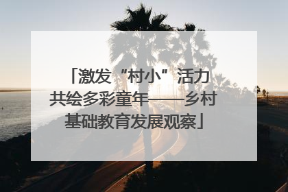 激发“村小”活力 共绘多彩童年——乡村基础教育发展观察