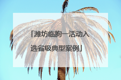 潍坊临朐一活动入选省级典型案例